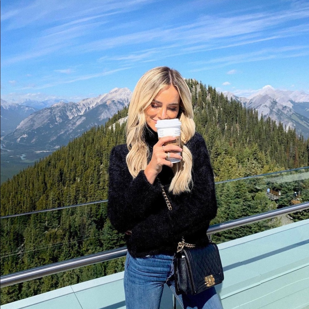 Majorelle Fuzzy Sabrina Turtleneck Sweater